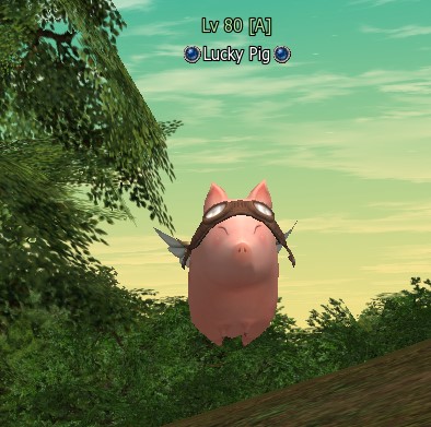Lucky Pig